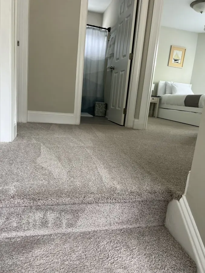 Raleigh Carpet Cleaning Service